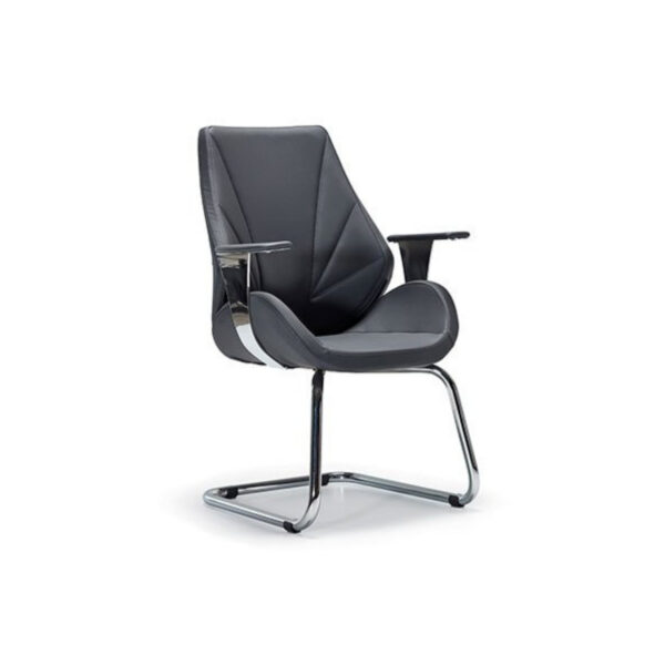 darvin misafir koltuğu 1