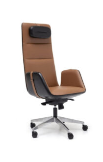 apex yönetici koltuğu 01 - Class Ofis apex yönetici koltuğu 01