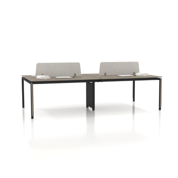 zoom workstation 01