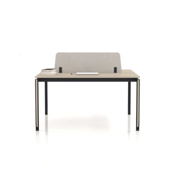 zoom workstation 02